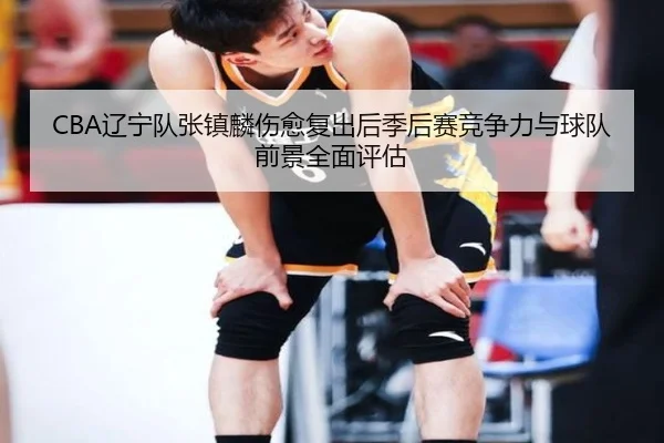 CBA辽宁队张镇麟伤愈复出后季后赛竞争力与球队前景全面评估